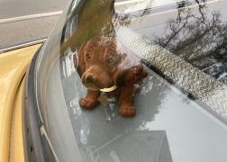 Trabant Rallye In Stadtroda 16102021 000047